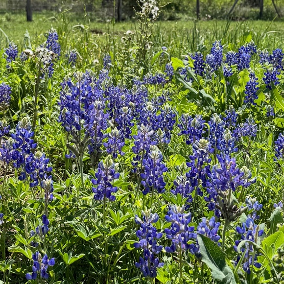 Meet your Posher, Brenda - Picture 12 of 12